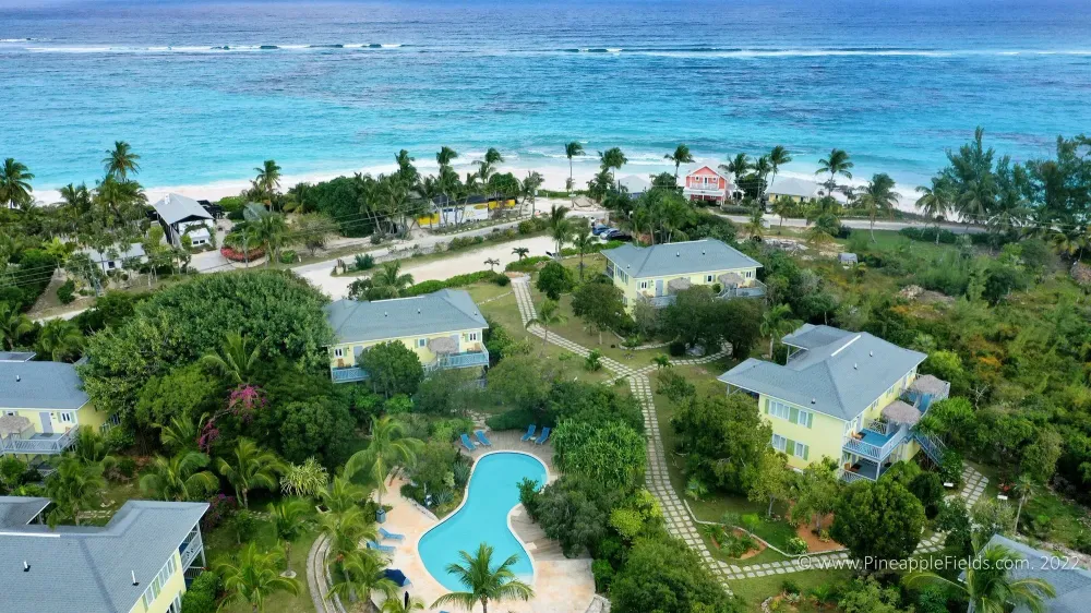 Aerial view of Pineapple Fields Resort